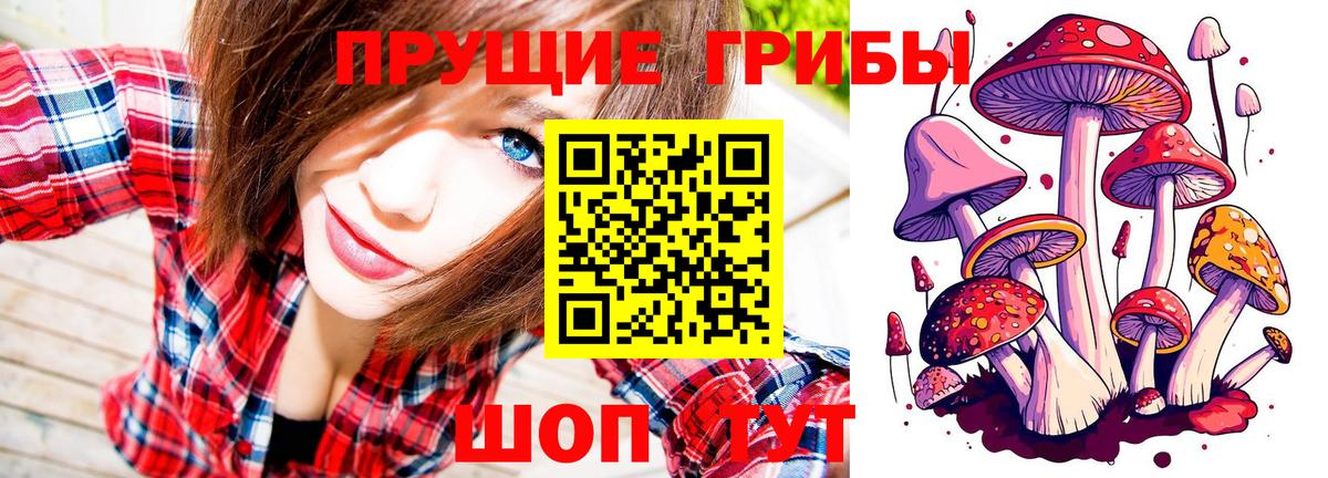 Псилоцибиновые грибы GOLDEN TEACHER Анапа