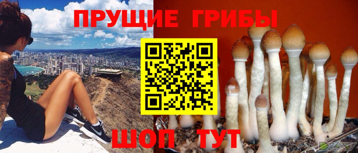 Псилоцибиновые грибы прущие грибы  Вход с VPN  Анапа 